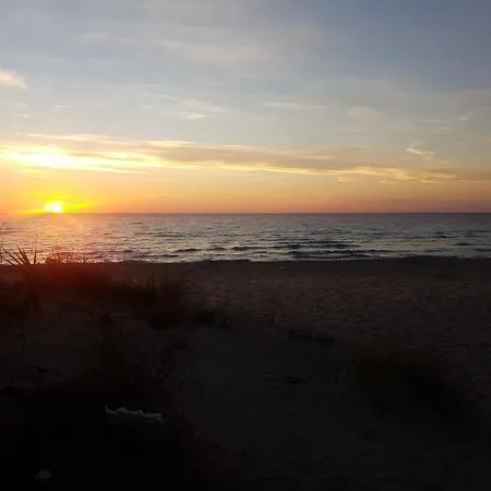 La Palma Sul Mare Lido Conchiglia